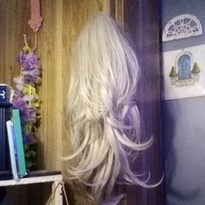 Elegant Silver Blonde Wig